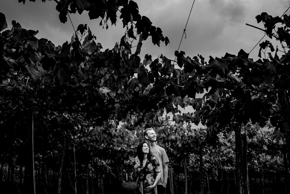 Ensaio de gestante na Boa Esperança em Rolante